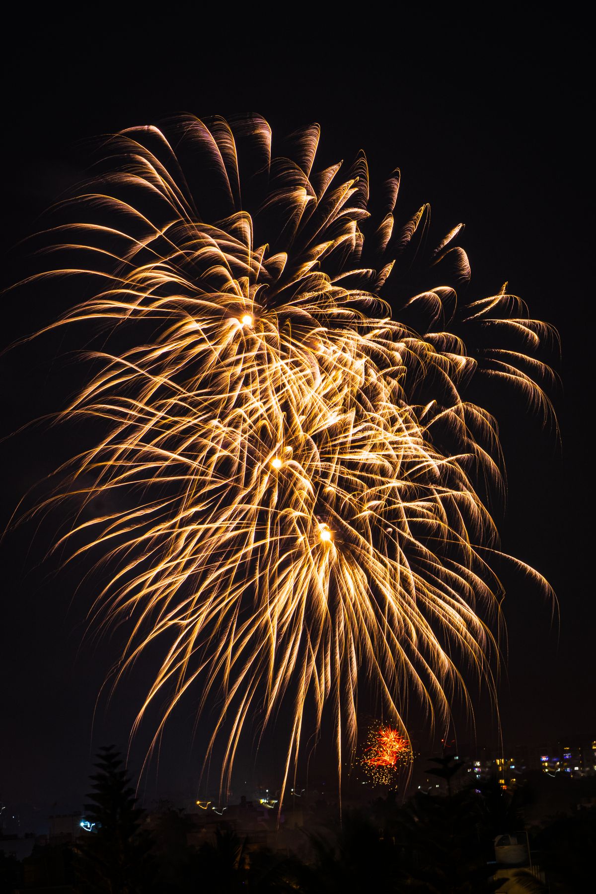 Golden Sparkler Pack